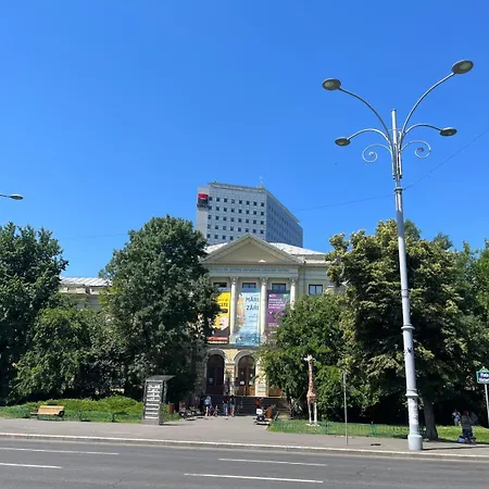 Victoriei - The Historical Part * Бухарест