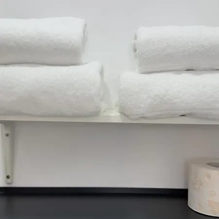 Apartamento Victoriei - The Historical Part