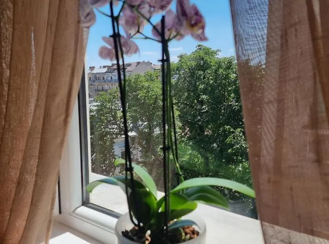 Apartment Victoriei - The Historical Part