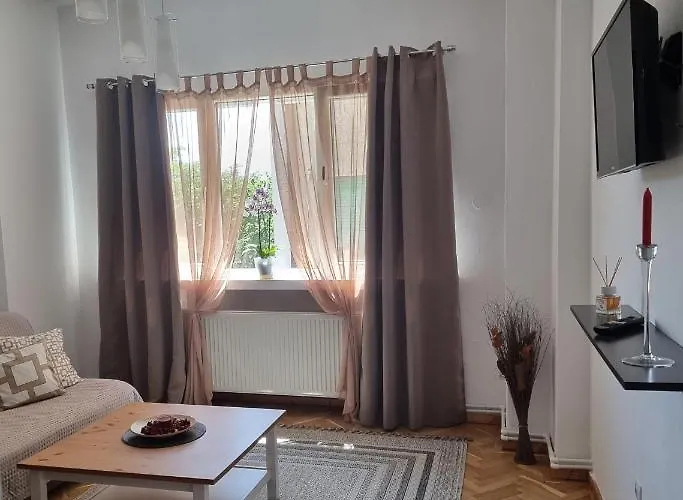 Appartement Victoriei - The Historical Part