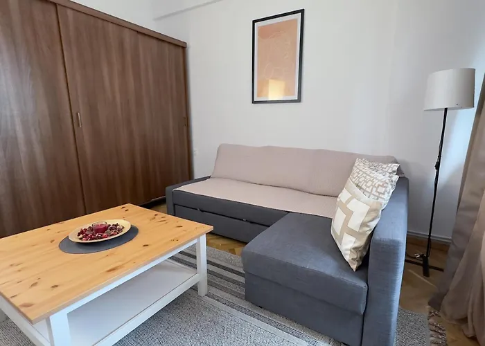 Apartment Victoriei - The Historical Part