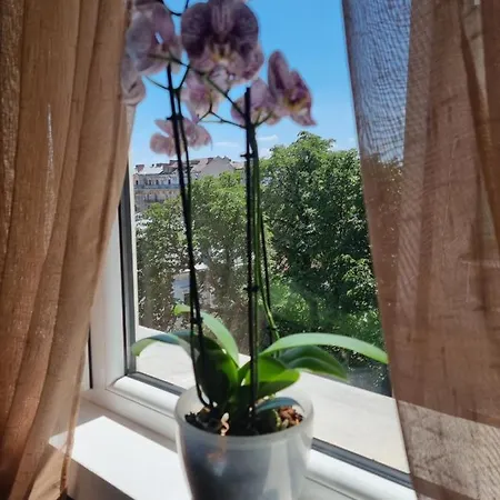 Apartment Victoriei - The Historical Part