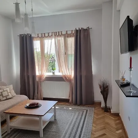 Apartment Victoriei - The Historical Part
