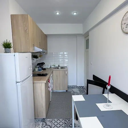 Apartment Victoriei - The Historical Part