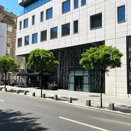 Apartment Victoriei - The Historical Part *