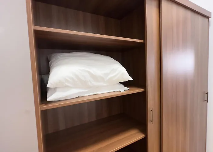 Apartament Victoriei - The Historical Part *