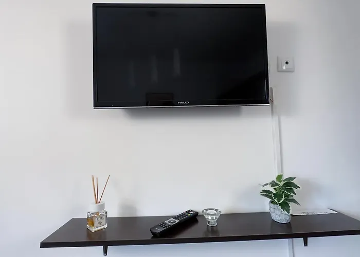 Apartament Victoriei - The Historical Part *