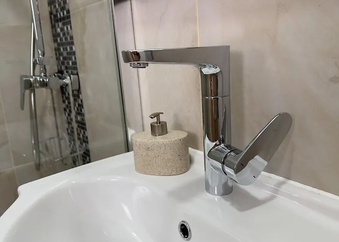 Apartament Victoriei - The Historical Part *