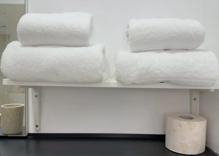 Apartament Victoriei - The Historical Part